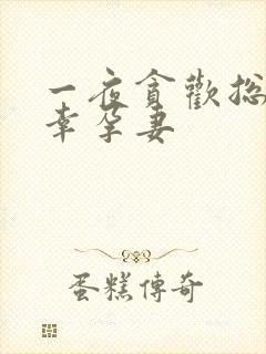 一夜贪欢总裁的幸孕妻