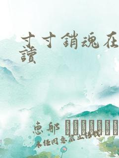 寸寸销魂在线阅读