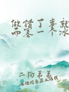 做错了事就往下面塞一个冰球作文