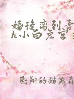 婚后脔到青梅哭h小白兔宫交h