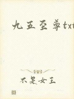 九五至尊txt