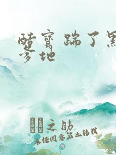 酷宝 踹了黑道爹地