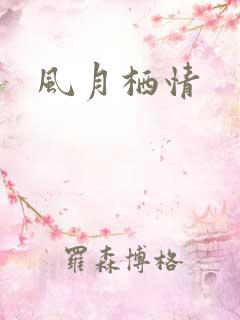 风月栖情