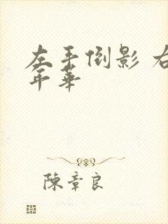 左手倒影 右手年华