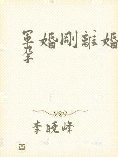 军婚刚离婚就怀孕