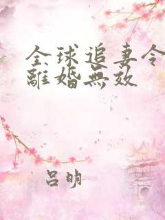 全球追妻令老婆离婚无效