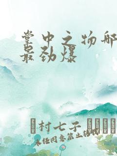 掌中之物哪一章最劲爆