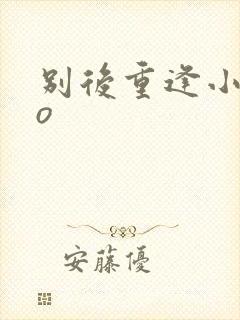 别后重逢小说po