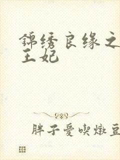 锦绣良缘之北地王妃