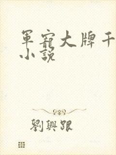 军宠大牌千金 小说