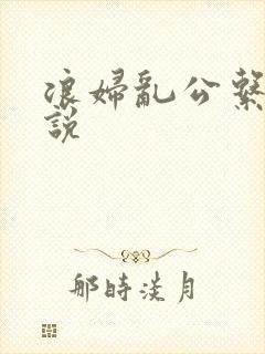 浪妇乱公系列小说