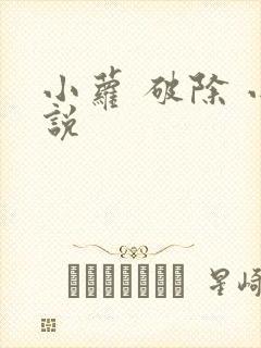 小萝 破除 小说