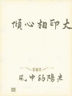 倾心相印大结局