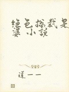 绝色总裁是我老婆 小说