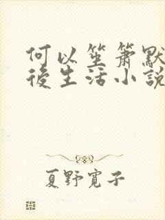 何以笙箫默之婚后生活小说