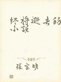 终将逝去的青春小说