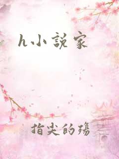 h小说家