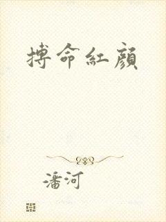 搏命红颜