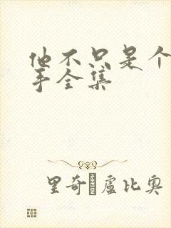 他不只是个狙击手全集