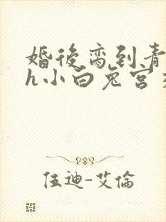婚后脔到青梅哭h小白兔宫交h