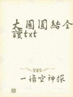 大团圆结全文阅读txt