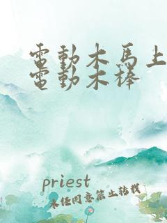 电动木马上两个电动木棒