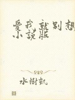 爱我就别想太多小说版