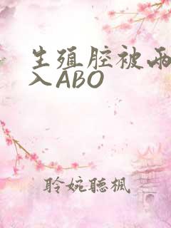 生殖腔被两根进入ABO