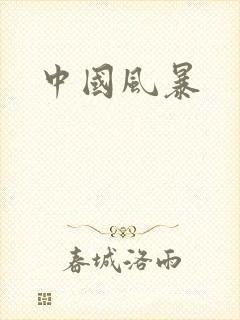 中国风暴