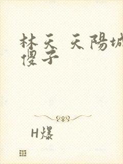 林天 天阳城 傻子