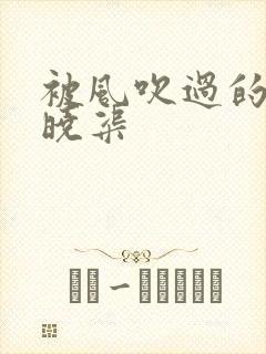 被风吹过的夏天晓渠