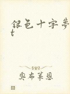 银色十字梦txt