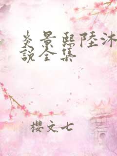 炎景熙陆沐擎小说全集