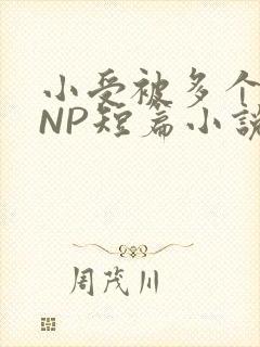 小受被多个攻强NP短篇小说