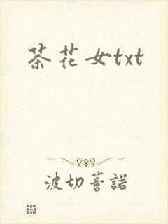 茶花女txt