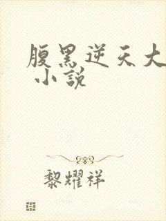 腹黑逆天大小姐 小说