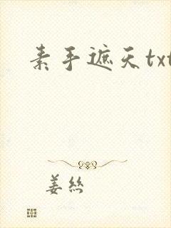 素手遮天txt