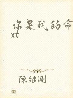 你是我的命运txt