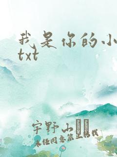 我是你的小小狗txt