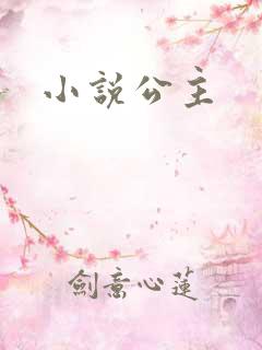 小说公主