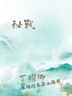 秘战