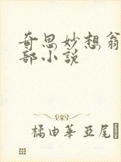 奇思妙想翁的全部小说