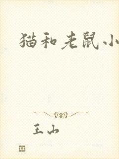 猫和老鼠小说