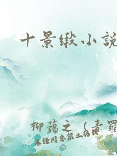 十景缎小说
