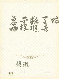 兔子救了蛇被蛇两根进去