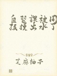 自习课被同桌男孩摸出水了