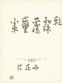 小燕子和乾隆在车里还珠