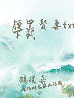 腹黑贤妻txt下载