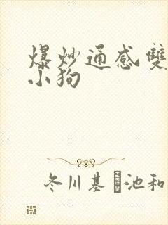 爆炒通感双胞胎小狗