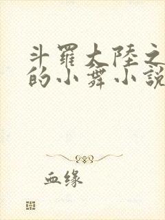 斗罗大陆之Y荡的小舞小说